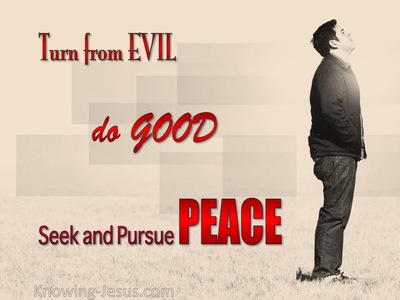 1 Peter 3:11 Turn From Evil And Do Good (red)